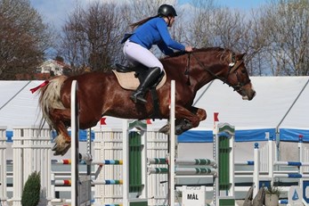 Fine prestasjoner ved påskestevnet hos Kristiansand og Søgne Rideklubb